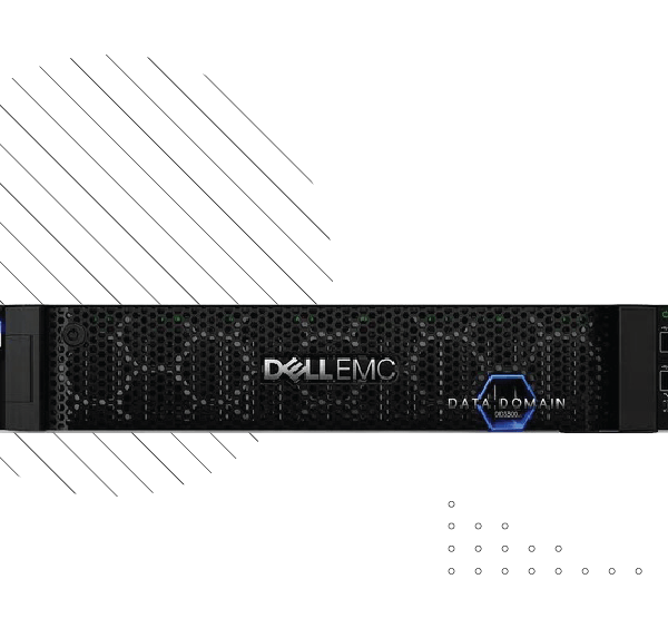 استوریج DELL EMC​ - استوریج EMC Data Domain DD3300