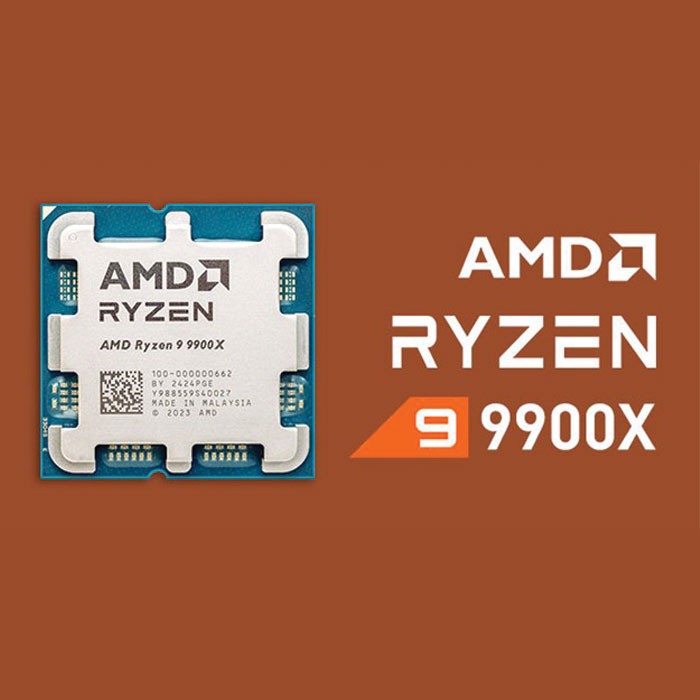 AMD Ryzen 9 9900x