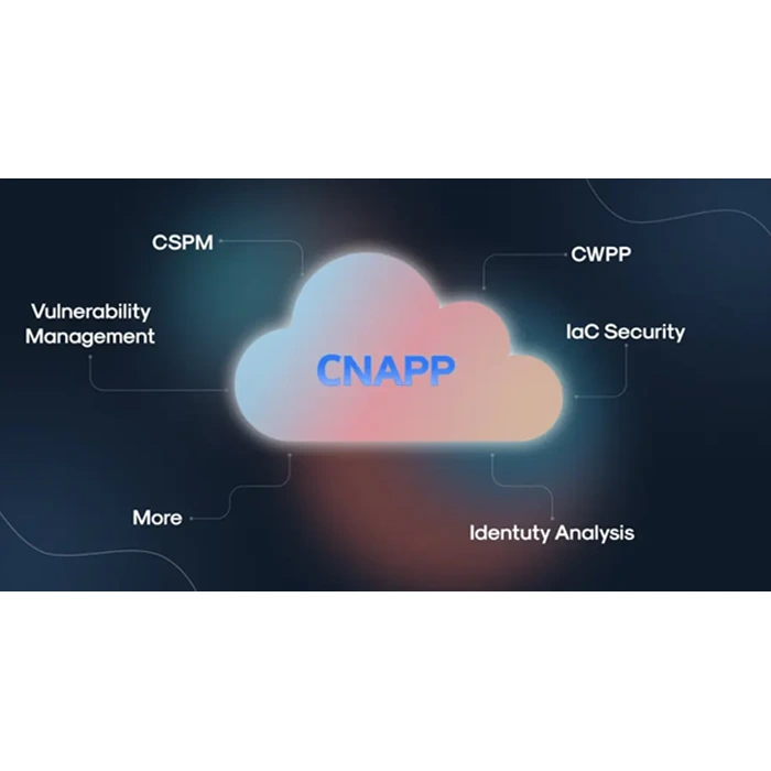 آشنایی با پلتفرم های حفاظت از برنامه‌های بومی ابری (CNAPP) فورتی‌نت